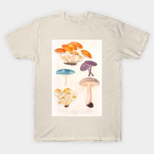 Mushroom species T-Shirt